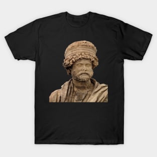 Antonius Claudius Dometeinos Bouleuterion of Aphrodisias T-Shirt